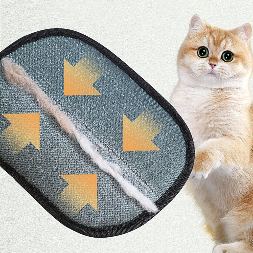 Gants de brosse à épiler pour chien, chat et lapin à poils longs, courts et bouclés